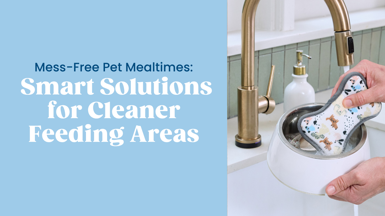 Mess-Free Pet Mealtimes: Smart Solutions for Cleaner Feeding Areas