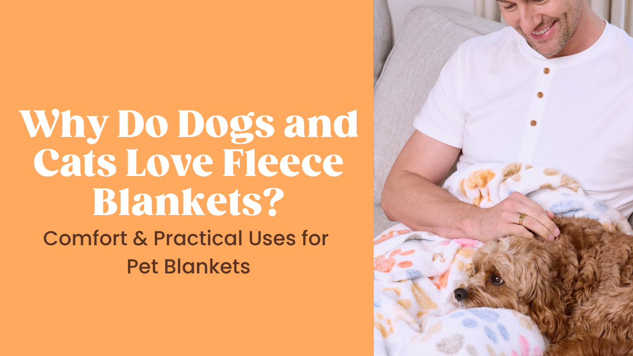 Why Do Dogs and Cats Love Fleece Blankets? Comfort & Practical Uses for Pet Blankets