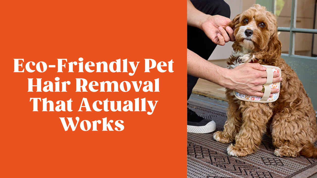 Eco-Friendly Pet Hair Removal That Actually Works on Furniture, Clothes & Cars, WerkShoppe pet collection, hair removal mitts