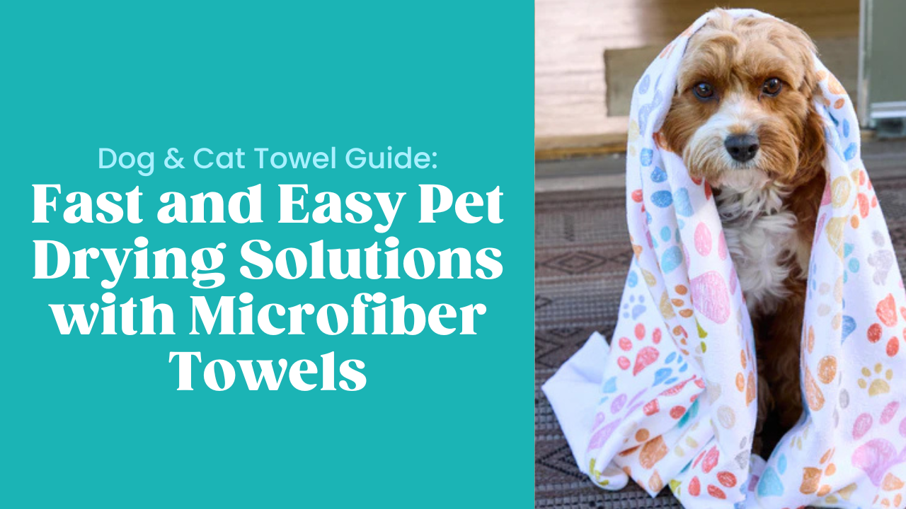 Fast and Easy Pet Drying Solutions with Microfiber Towels