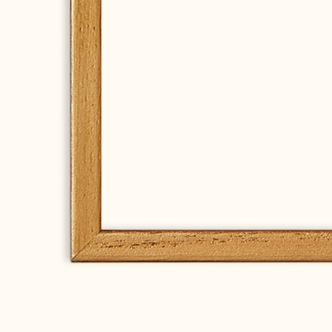 French Bully  | Framed Canvas Art