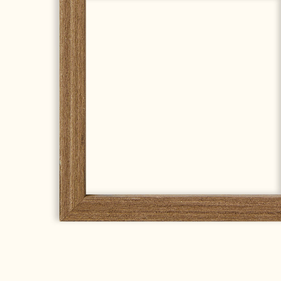 Saguaros | Framed Canvas Art