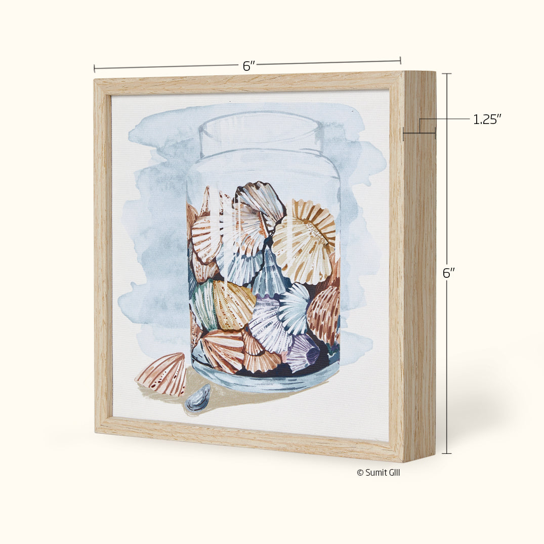 Shell Collector | Framed Canvas Art