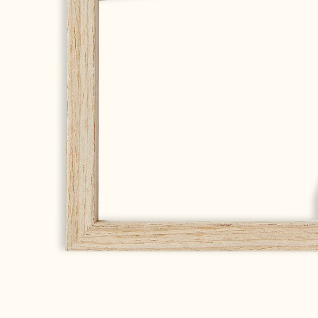 Shell Collector | Framed Canvas Art