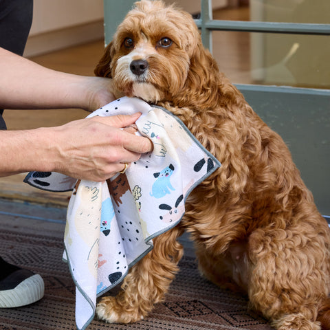 Pooches & Pups Pet Paw Microfiber Towels